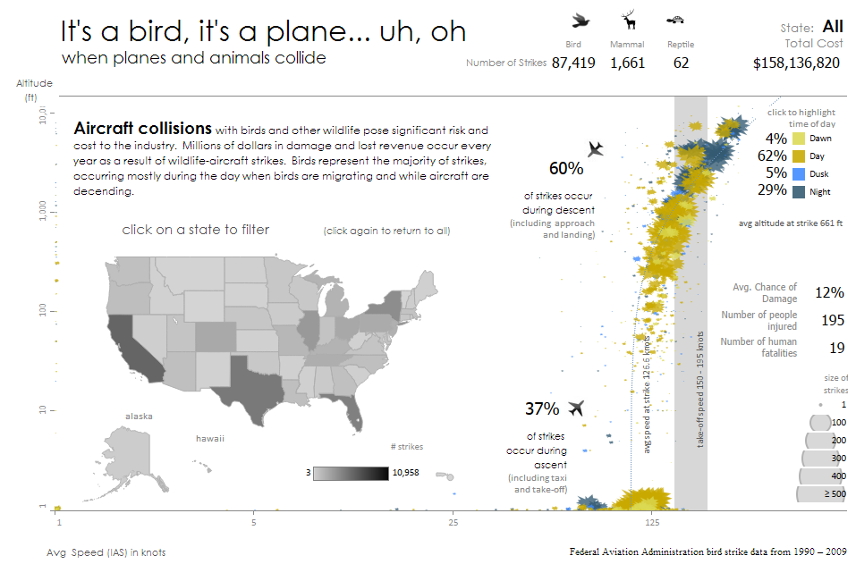 bird strikes visualization