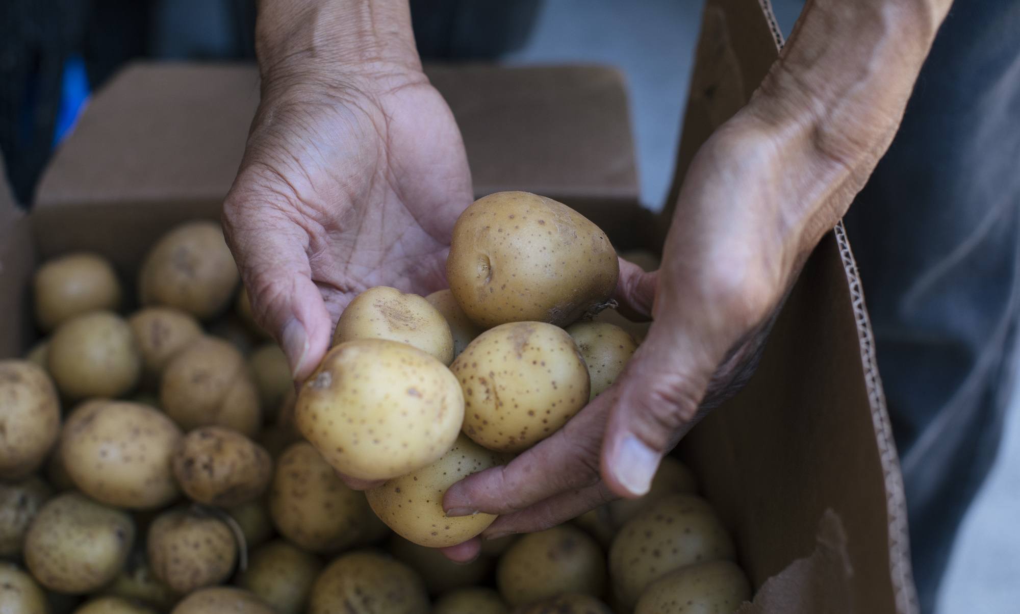 瀏覽至 Tableau powers Feeding America’s digital advocacy for hunger relief