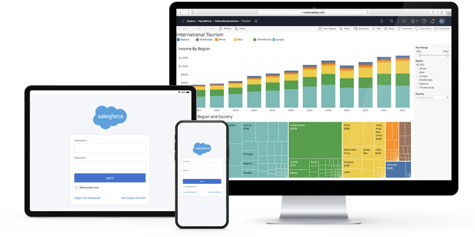 Salesforce User Authentication