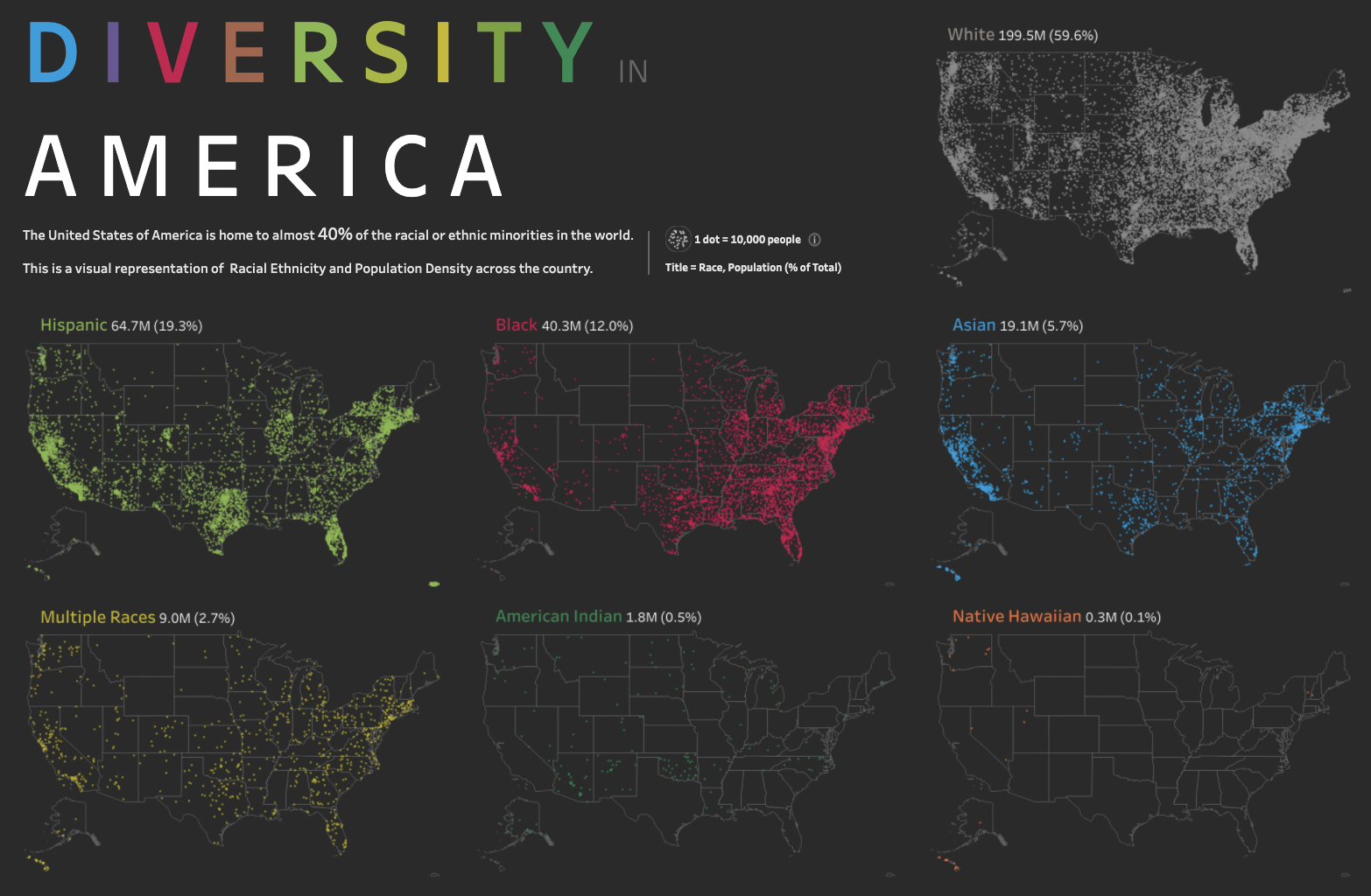 Diversity in America Visualization
