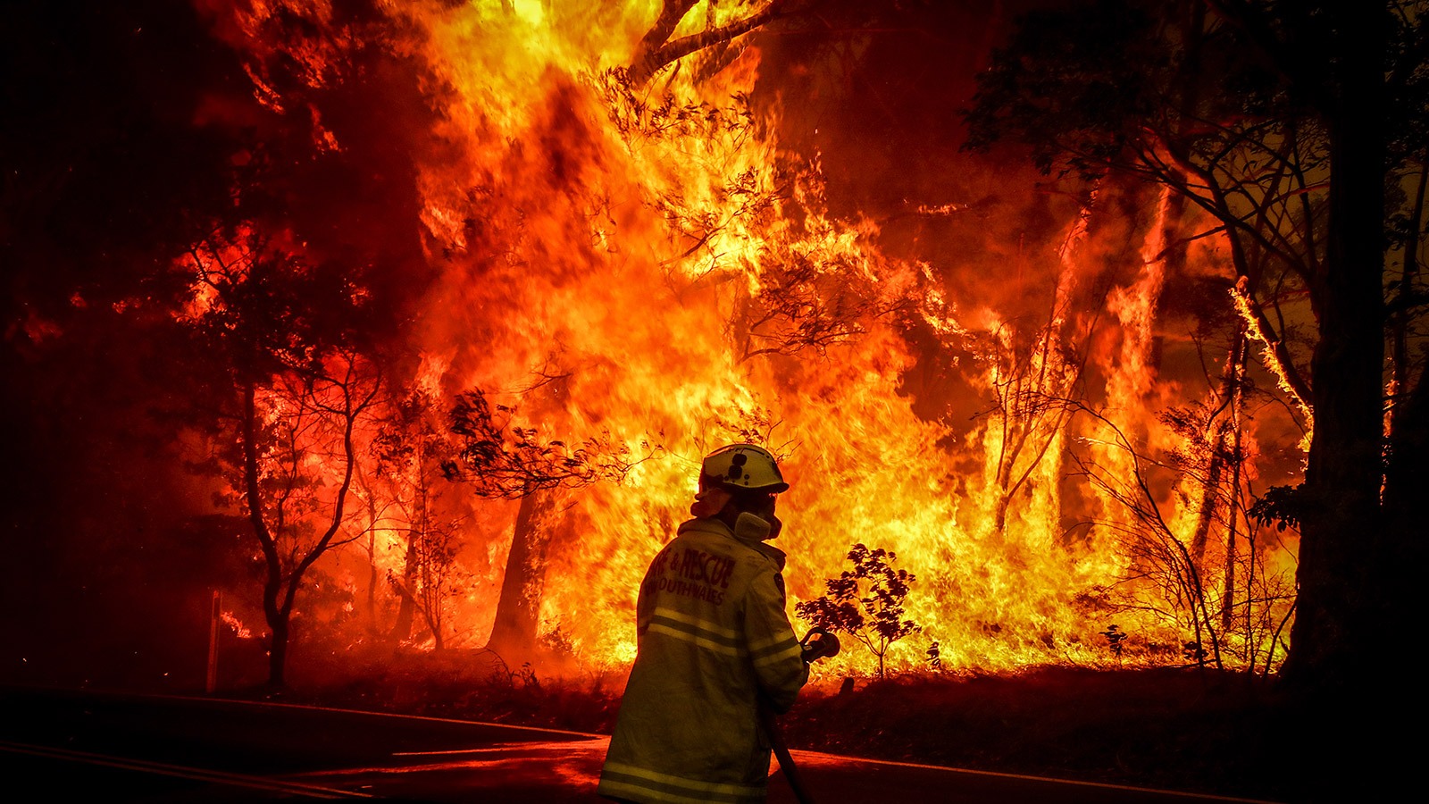 Sydney Fire, David Gray / Getty Images