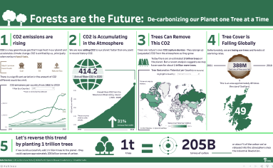 Forests are the Future