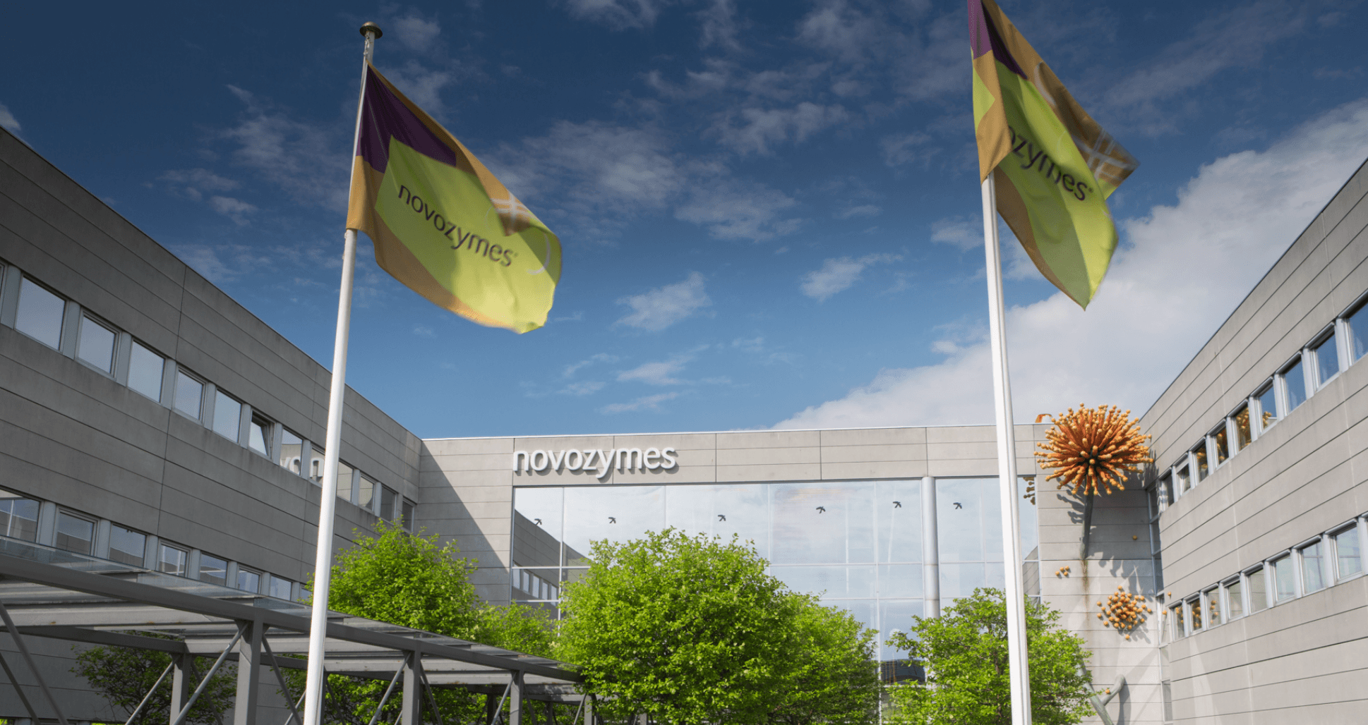 Navigate to Biotechnology company, Novozymes cuts reporting time by 90%