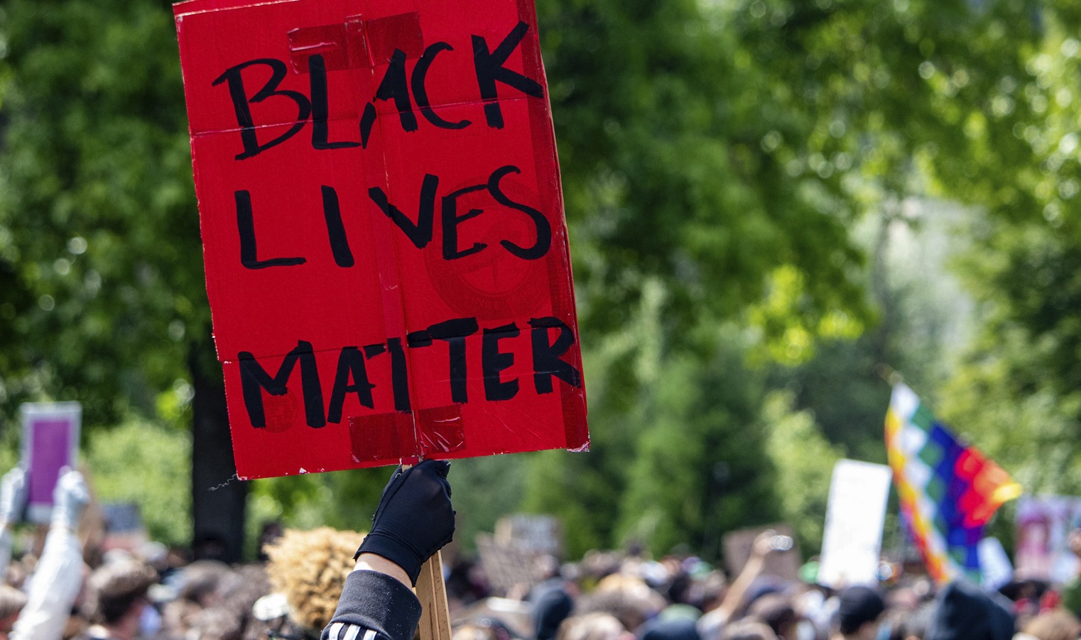 Black Lives Matter protest sign