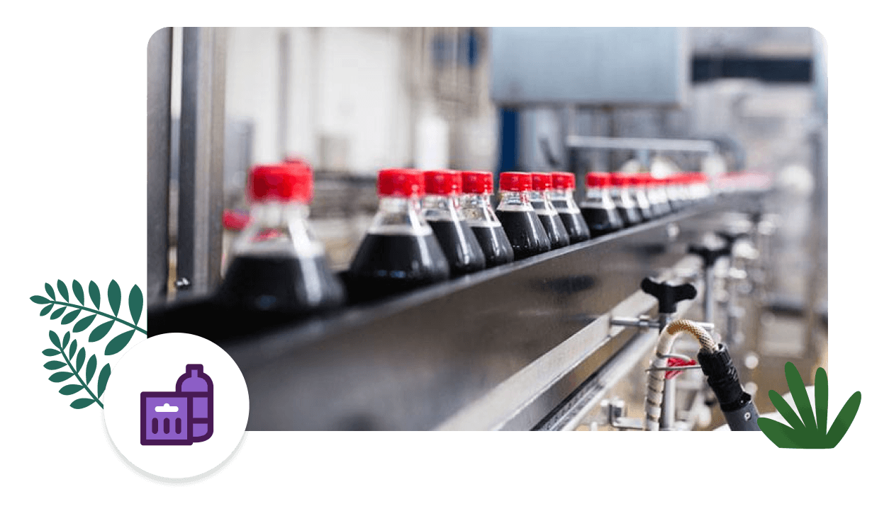 Bottles on a conveyor belt