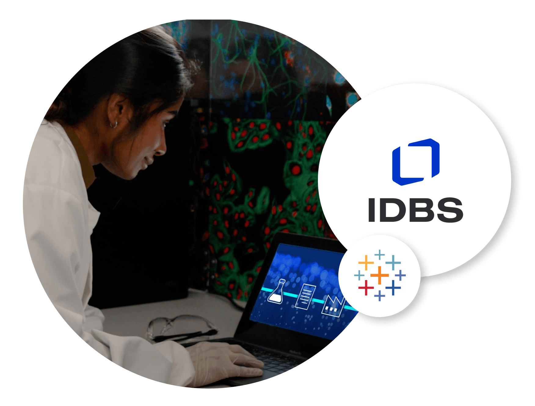 Imagem do IDBS