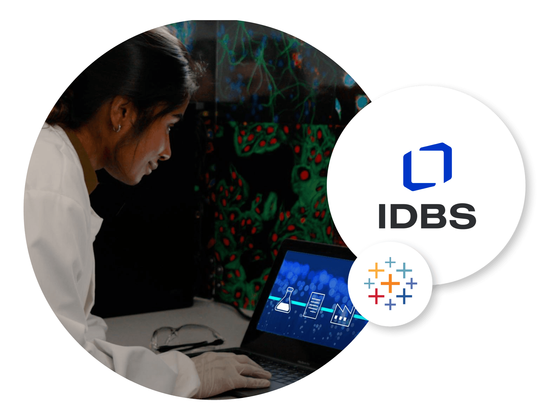 IDBS 이미지