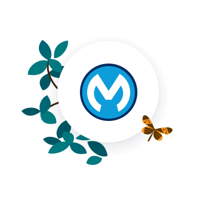 Navigate to MuleSoft