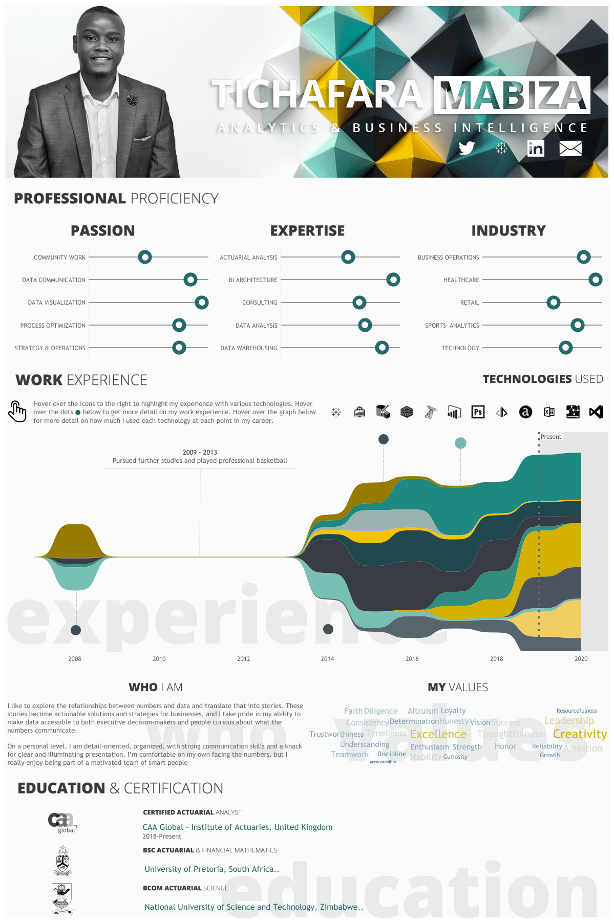 Tich Mabiza さんが作成したインタラクティブな Tableau Viz 履歴書。