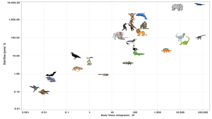 table of brain vs body mass