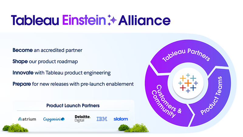 Tableau Einstein Alliance diagram