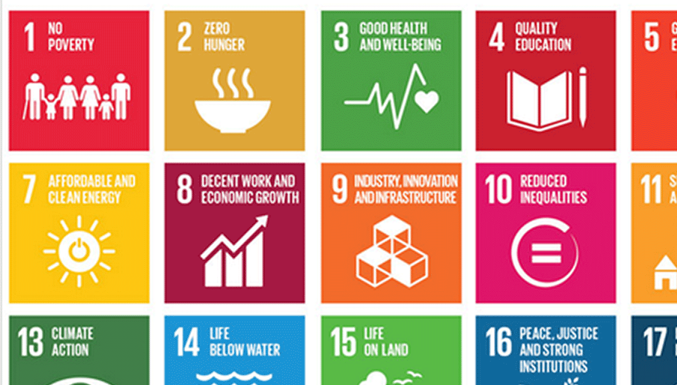 2030 Sustainable Development Goals