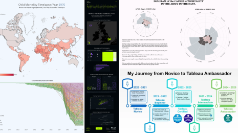 collage of data visualizations