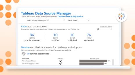 White screen with blue Tableau Data Source Manager title with data source information